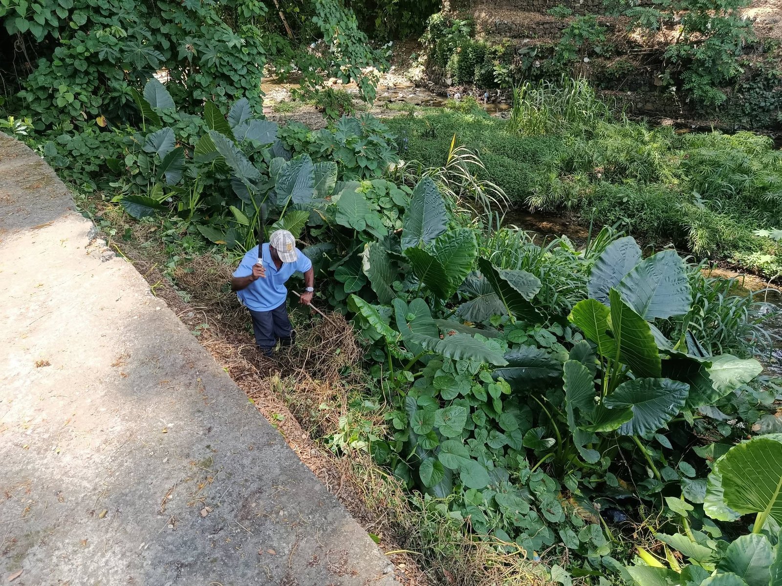 Fundación Te Quiero Verde RD realiza jornada de limpieza en el puente del río Jaya para la creación de un parque forestal.