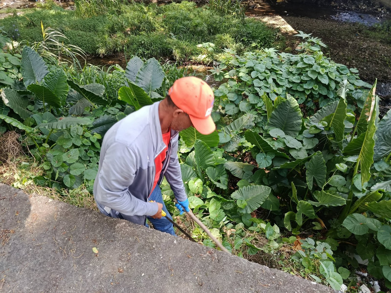 Fundación Te Quiero Verde RD realiza jornada de limpieza en el puente del río Jaya para la creación de un parque forestal.