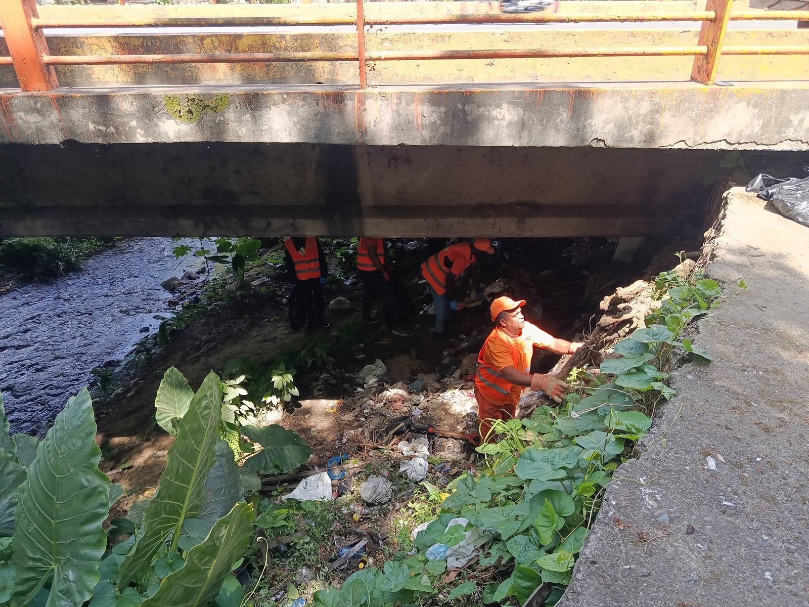 Fundación Te Quiero Verde RD realiza jornada de limpieza en el puente del río Jaya para la creación de un parque forestal.