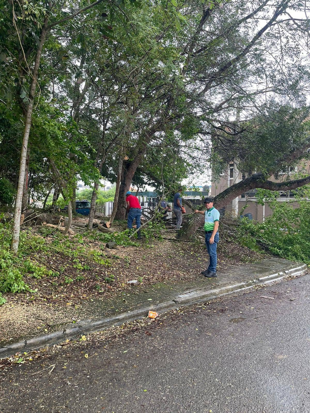 Fundación Te Quiero Verde RD, Ministerio de Medio Ambiente y Centro Educativo Max Henríquez Ureña realizan jornada de limpieza en el Complejo Deportivo Juan Pablo Duarte